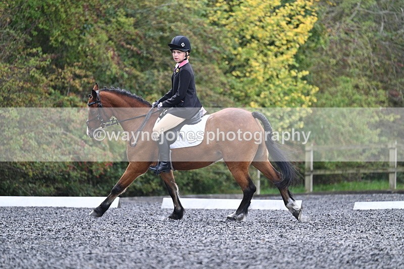 WJ7_3996 - Time 11:04 to 11:38