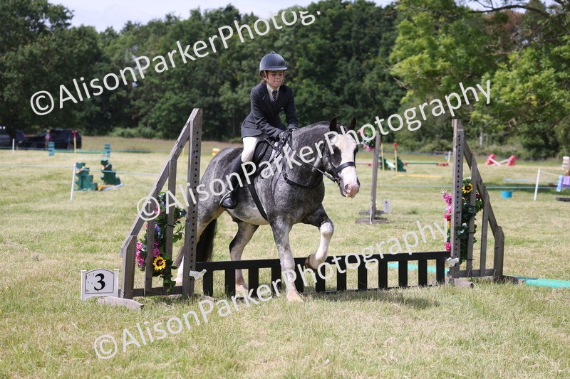 20260614-1966 - Class 21 - Novice Working Hunter Pony