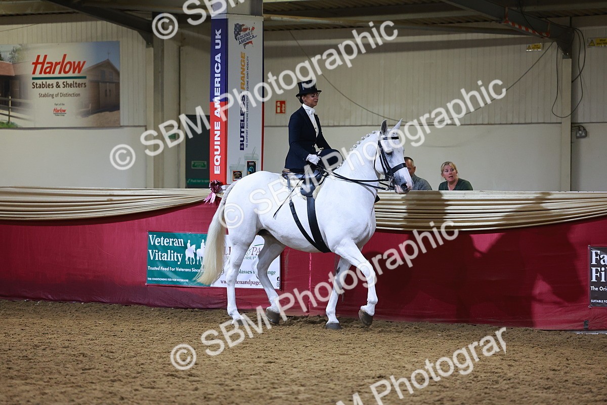 SBM_15016 - Class N - Side Saddle Champ