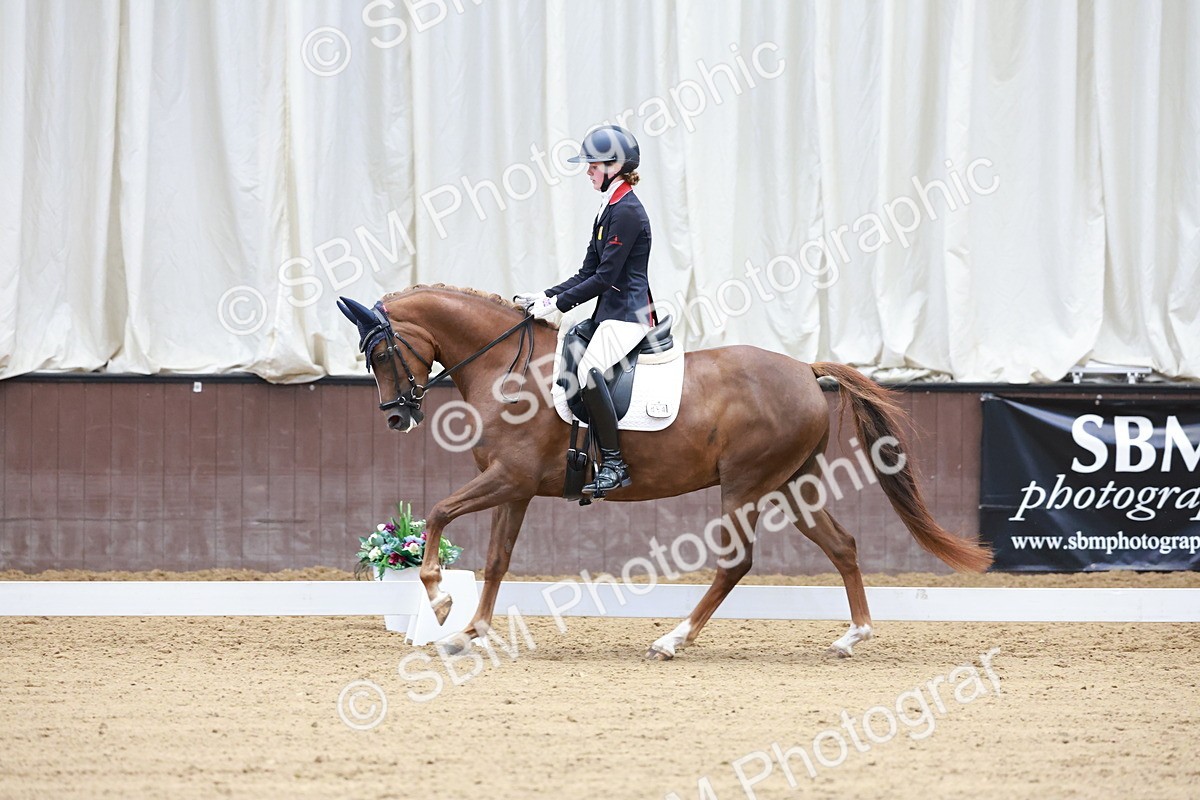 SBM_017198 - Class15 - FEI Pony