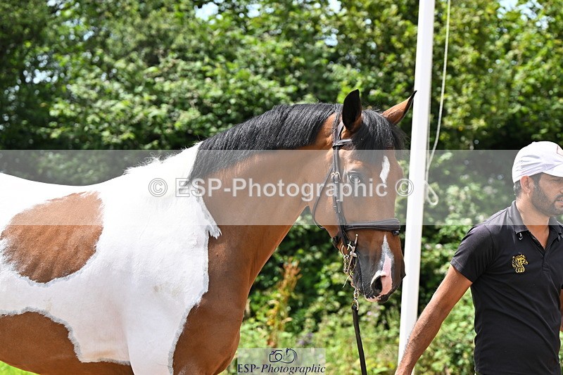 240718A-105308-01601 - Trot Up 1pm to 2pm