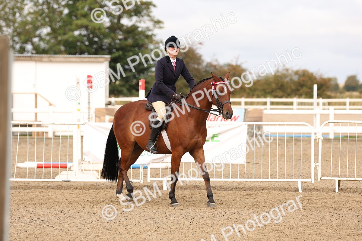 SBM_01528 - Class 52 - Ridden Veteran