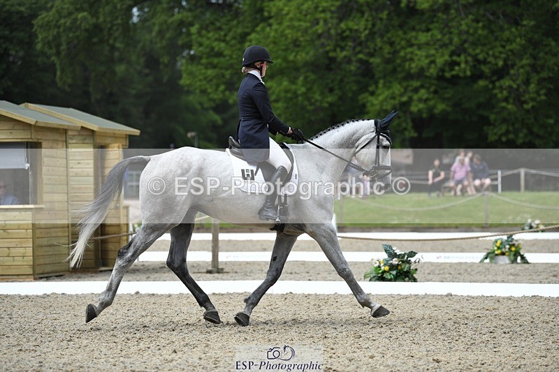 230525-113816-01872 - 102-BANDITO_VAN_POLDERZICHT-Grace_Taylor-WEDTrotUp+DR