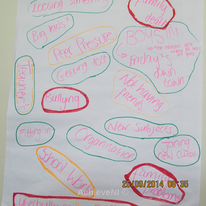  - Peer Mentoring 2014