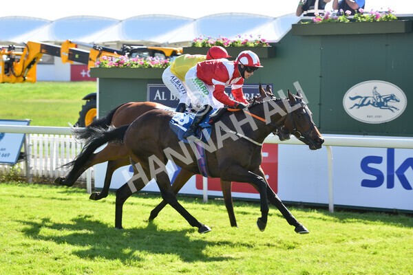  - Race 6 4.50pm The Ice Co supporting Macmillan Stakes