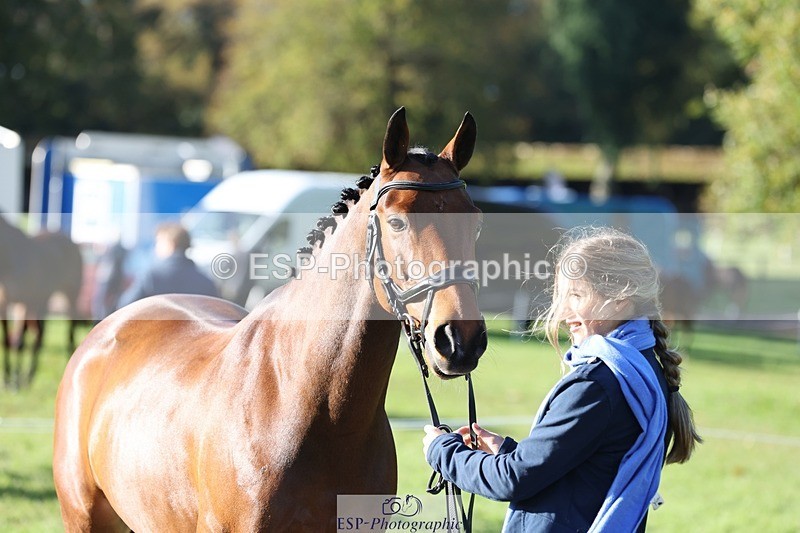 241027-095725-15603 - 551-Isabella.Moreton-LIMITED.EDITION