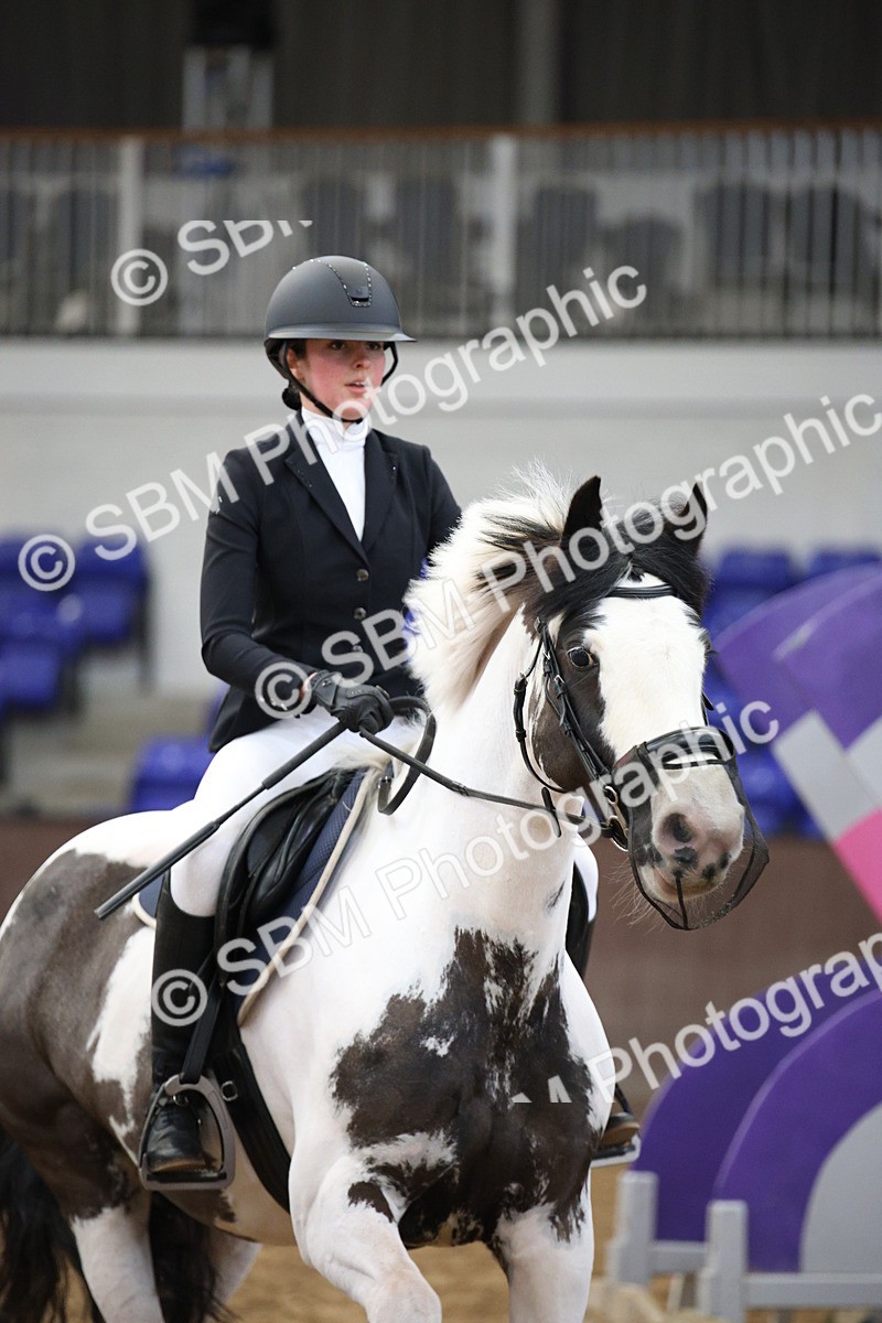 SBM_001325 - Class 5 - 80cm