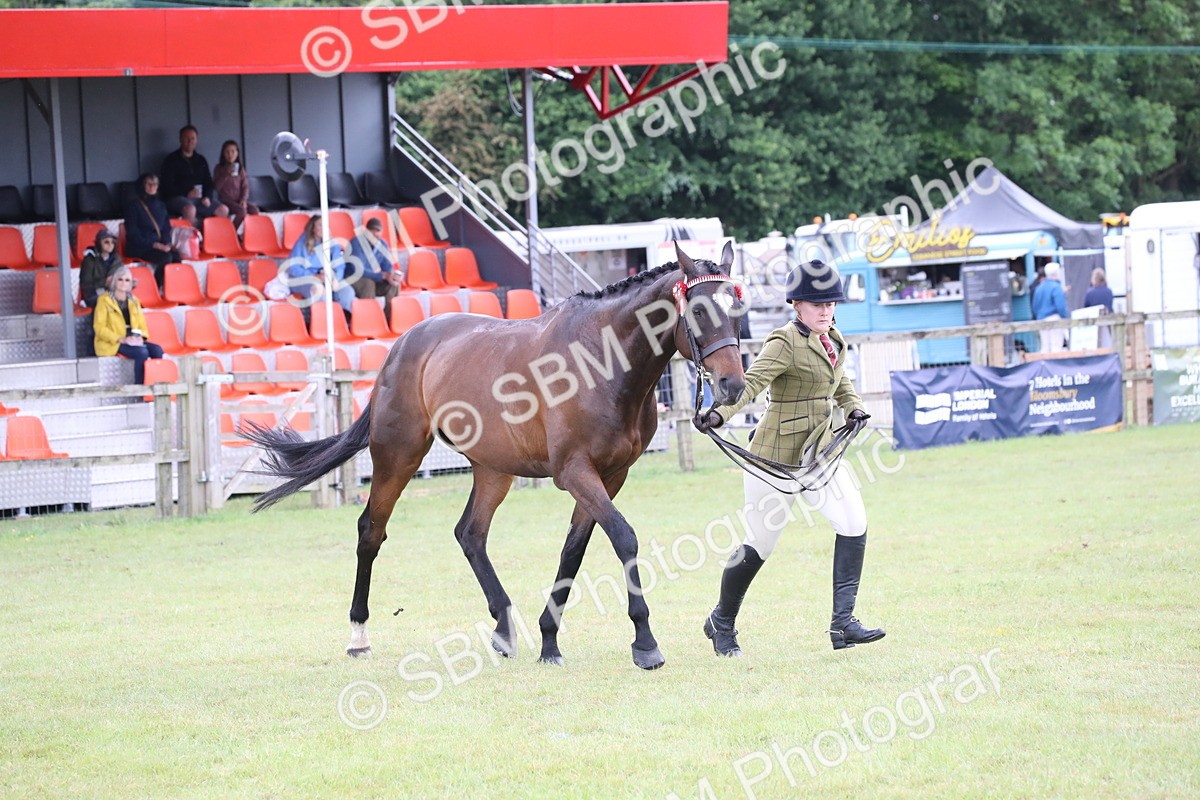 SBM_11454 - Class 94 - LIHS BSHA Racehorse to Showhorse