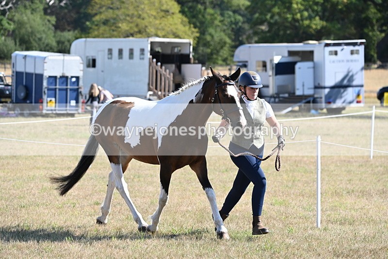 WJ6_4201 - Class 16 Condition & Turn Out