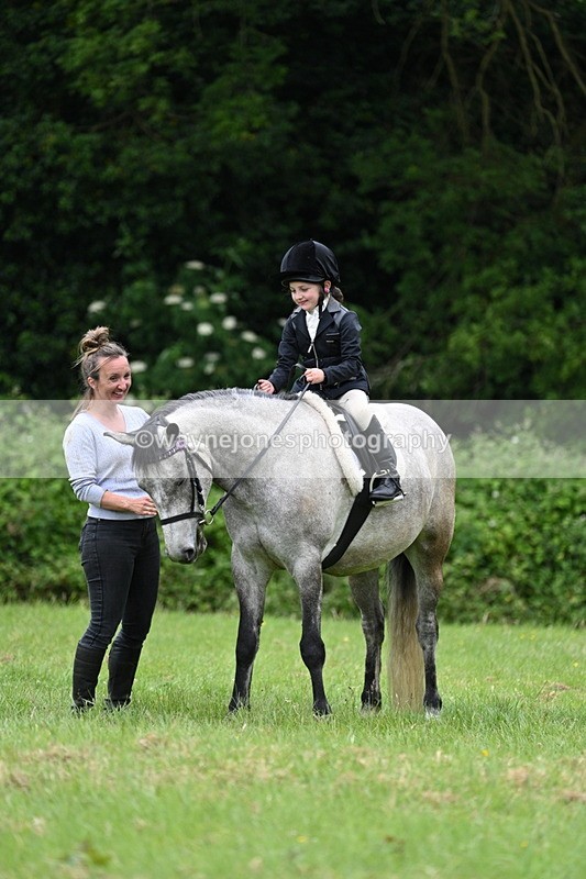 WJ7_4206 - Class 14A Handsome Gelding