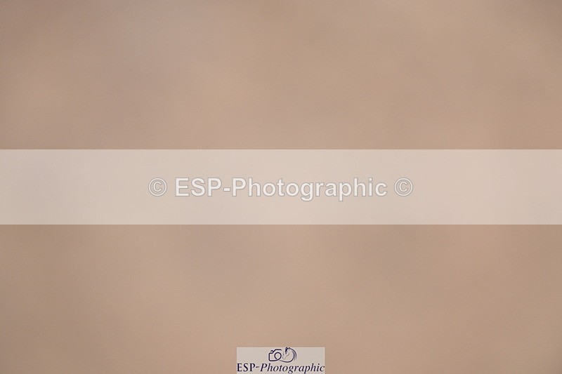 241006A-124812-07337 - Cls 26 1.10 Nat Am Qual