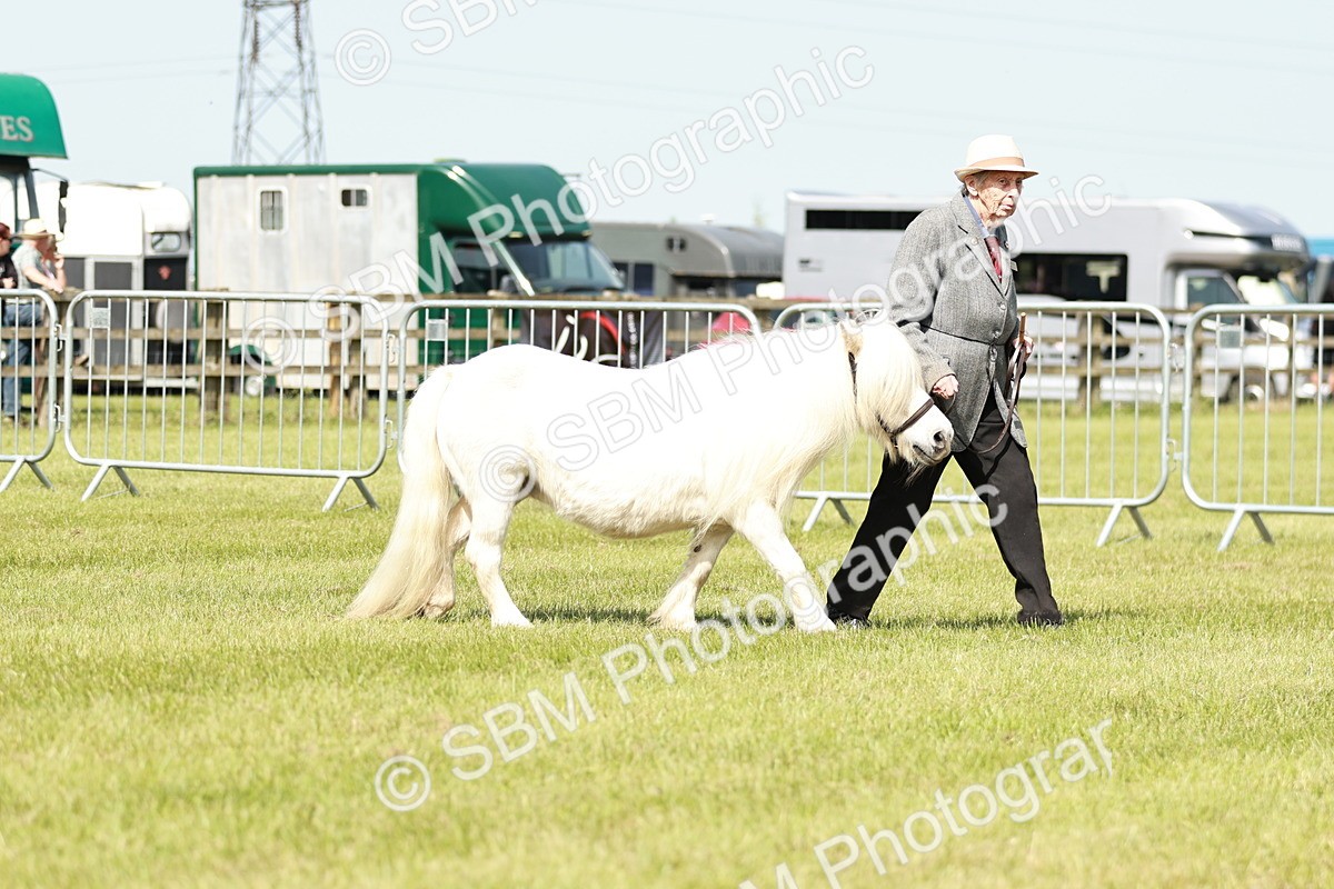 SBM_01948 - Class 14-23 - Mountain & Moorland In Hand Non Welsh
