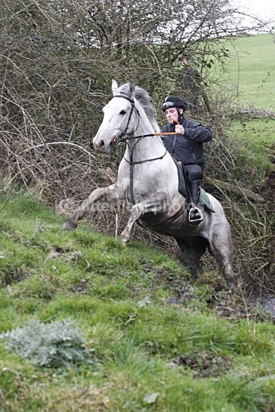 _MGN0584 - Summerhill Chase 2012