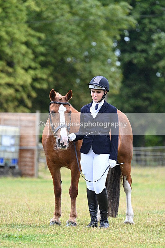 WJ7_6331 - Class 4a Prettiest Mare over 14hh