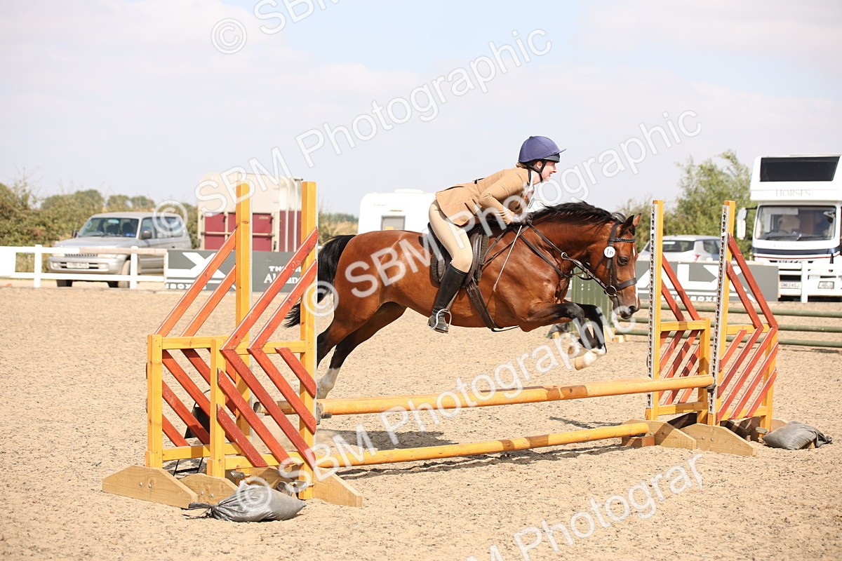 SBM_14187 - Class 407a - Working Veteran 60cm (15-19