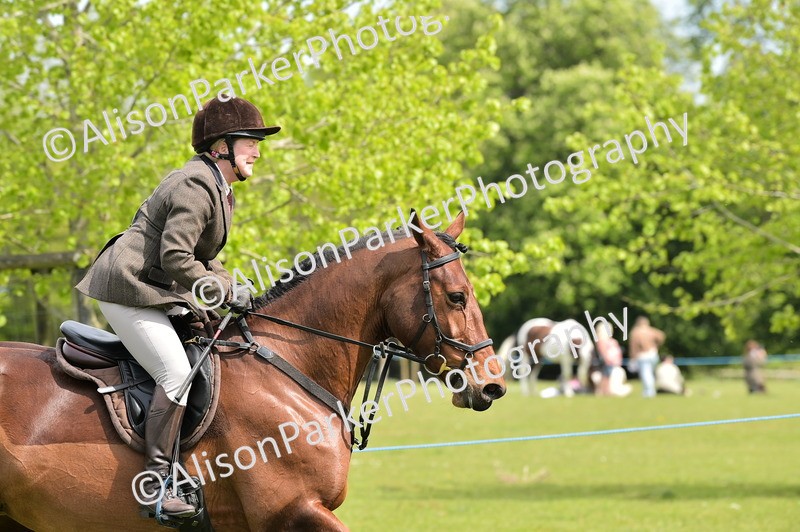 20260426-3684 - Class 22 - Working Hunter