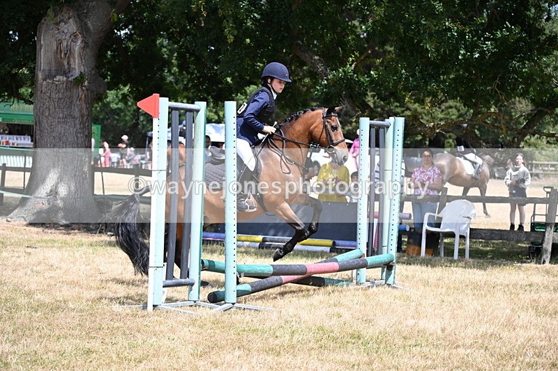 WJ6_5398 - Class 12 Minimus Jumping 45cm