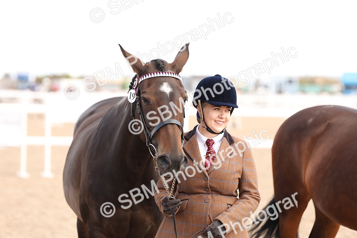SBM_14721 - Class 208 - IH Veteran Horse