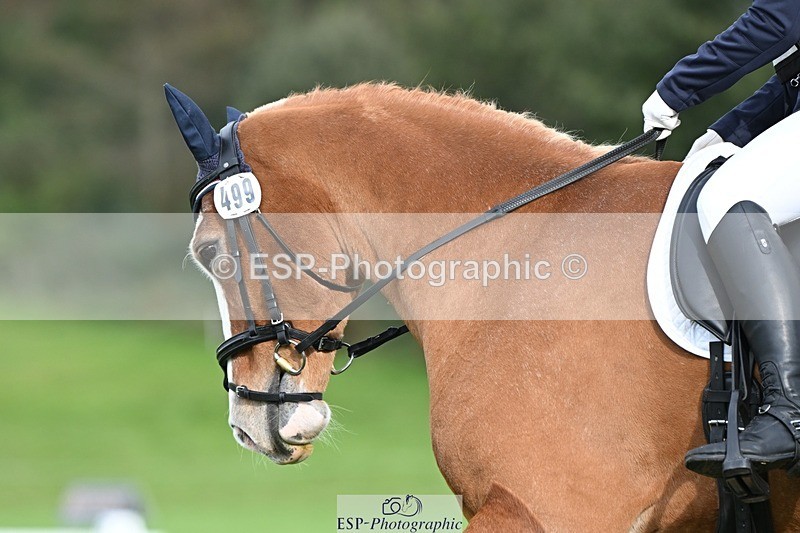 231020-143703-10692 - 499-GORFELYN.PETER.THE.GREAT-Charlotte.Bellamy-DR