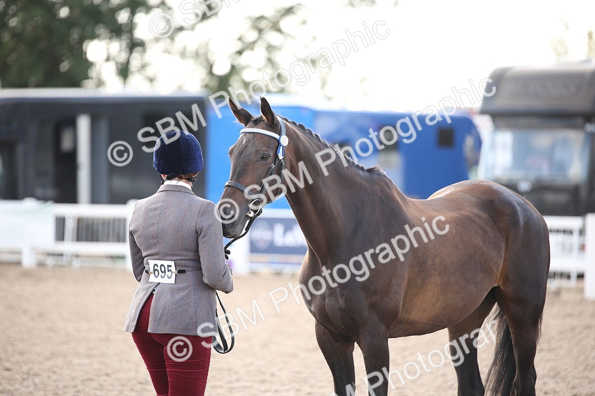 SBM_07106 - Class 25 IH Foreign Breeds- Pure bred