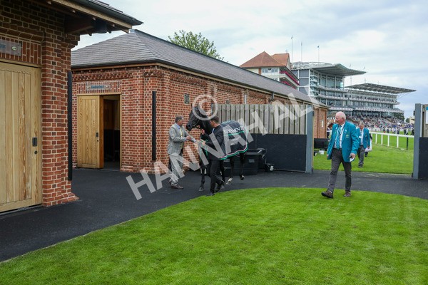 230823-Race 4-Mostahdaf-4365 - Race 4 3.35pm Juddmonte International Stakes