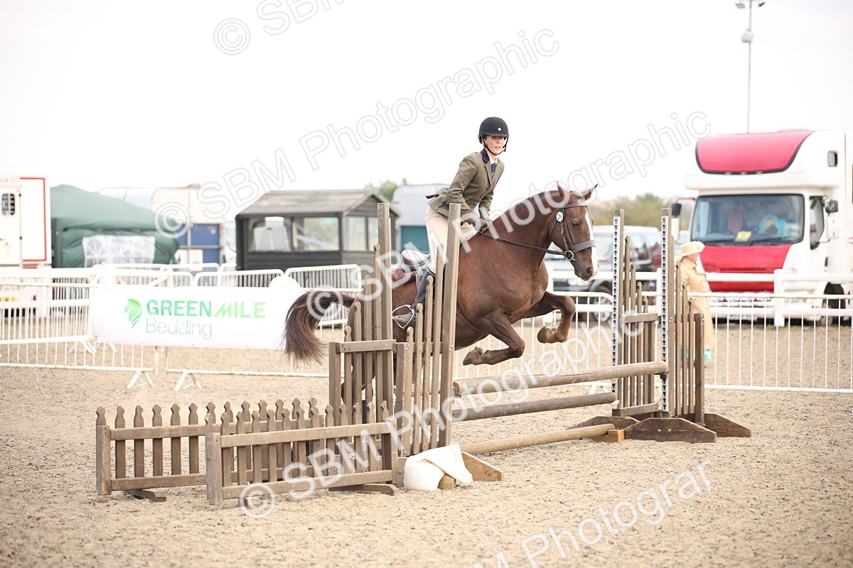 SBM_16036 - Class 408b - Working Veteran 70cm (20+)