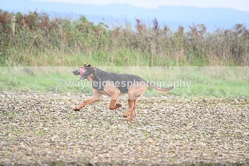 WJ7_0206 - Camera 1 & Last fence