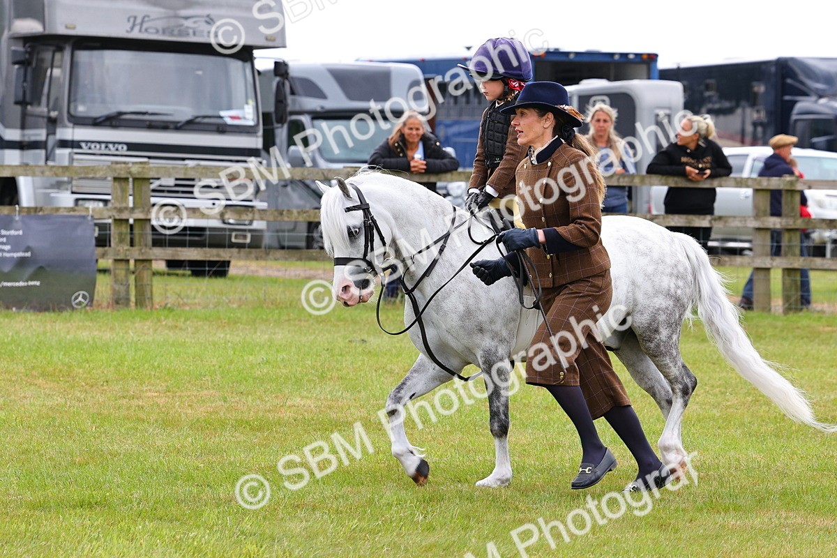SBM_08261 - Class 42-43 - LIHS BSPS Heritage Working Sports Pony