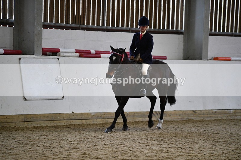 WJ5_7856 - Class 13 Ridden Part Breed