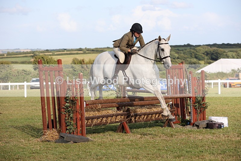 JPP_3489 - Class 22: Working Hunter 90cm