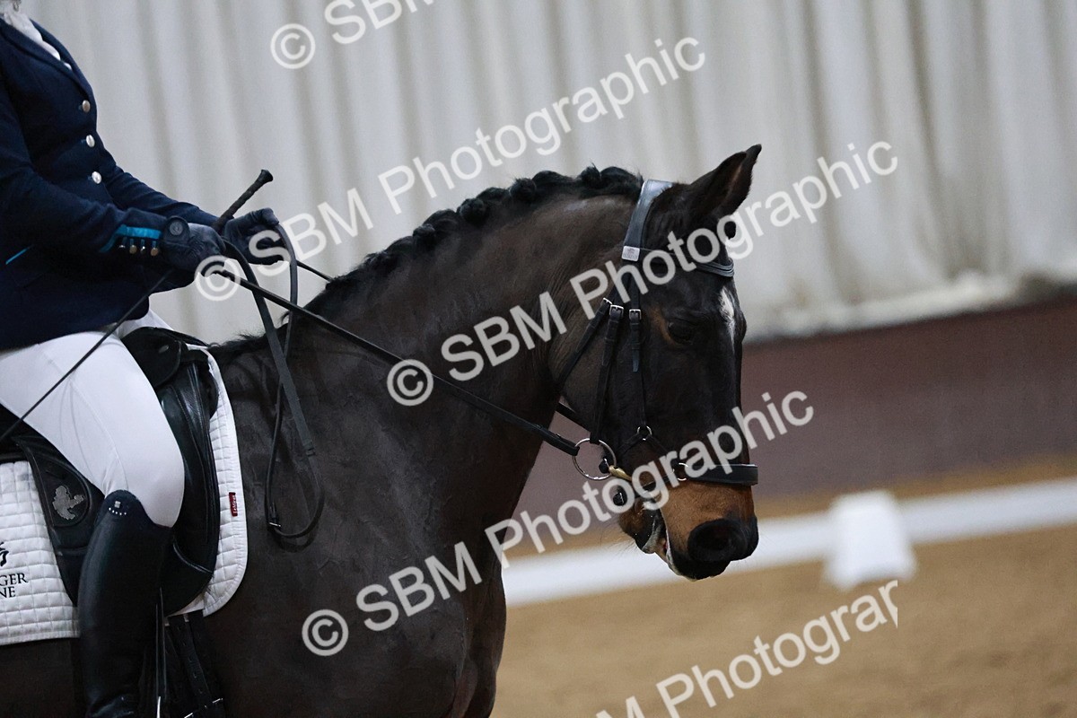 SBM_005553 - Medium Music-Medium 2-Adv Med 1