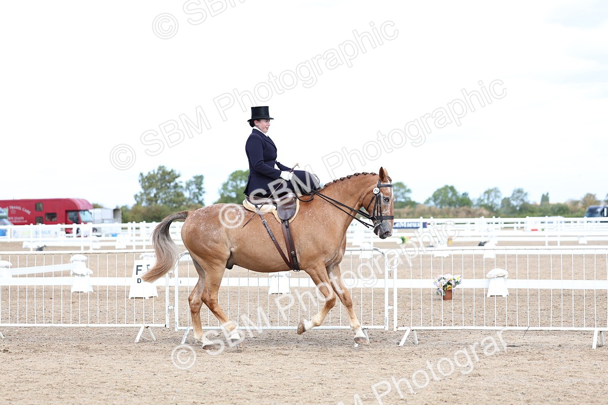 SBM_03202 - Class 22 - SSA Equitation (any age)