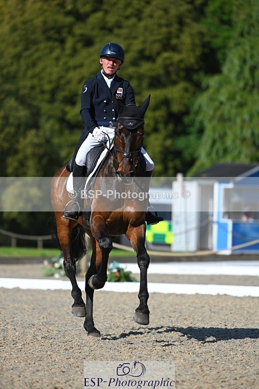 230526-172110-07581 - 262-TREAMBLE-Finn_Healy-WEDTrotUp+DR