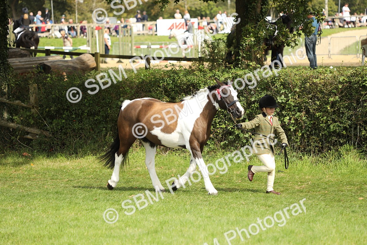 SBM_67725 - S39 - Junior Handler 8  Years & Under