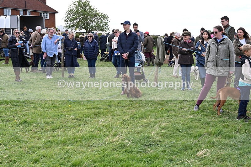 WJ6_8402 - Class 6 Best Rescue