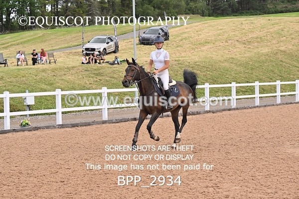 BPP_2934 - FRI CLASS 17 Pony Newcomers/1m Open