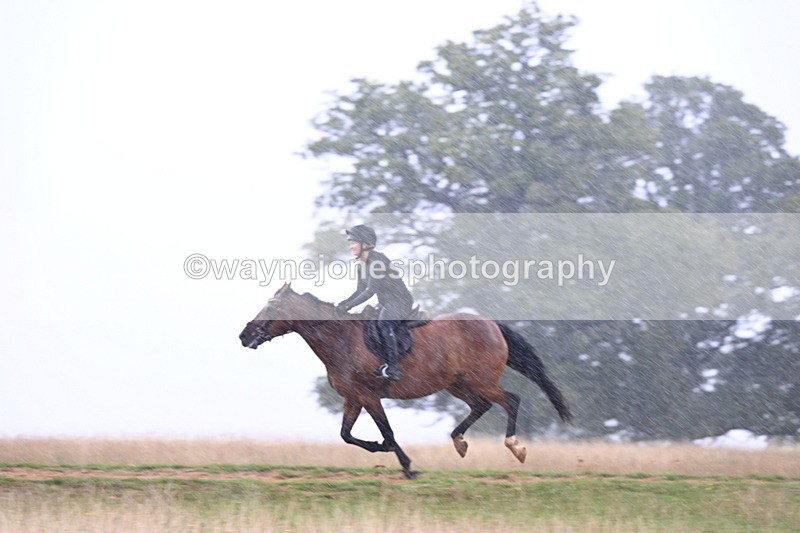 DSC_2988 - Time at Statue 12:59 to 13:49