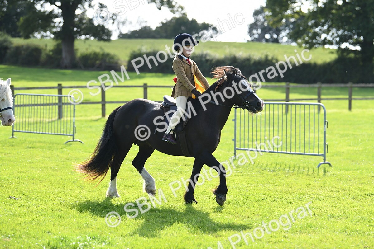 SBM_50532 - S21 - Novice & Newcomers 1st Ridden Pony