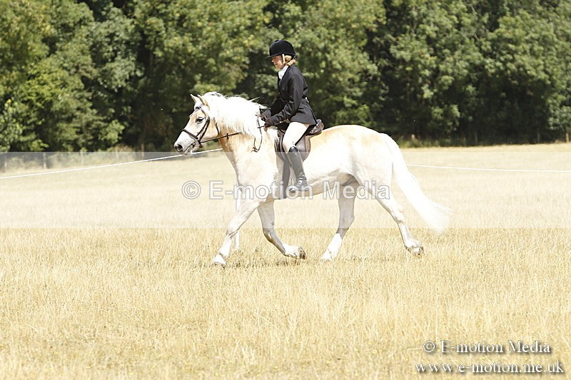 _BS_0756 - BVRC Show 2018 Ring 1