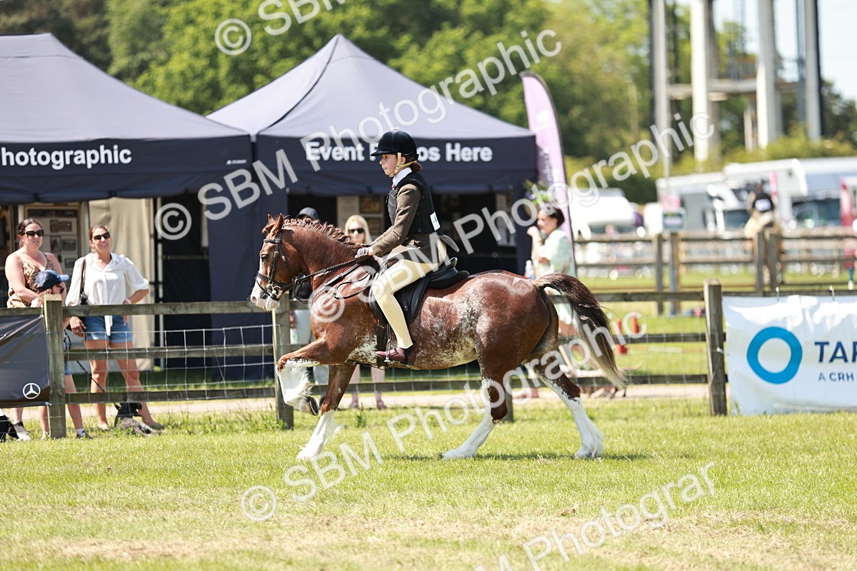 SBM_15533 - Class 108-109 - BSPS LIHS Open Gradle & Nursery Stakes