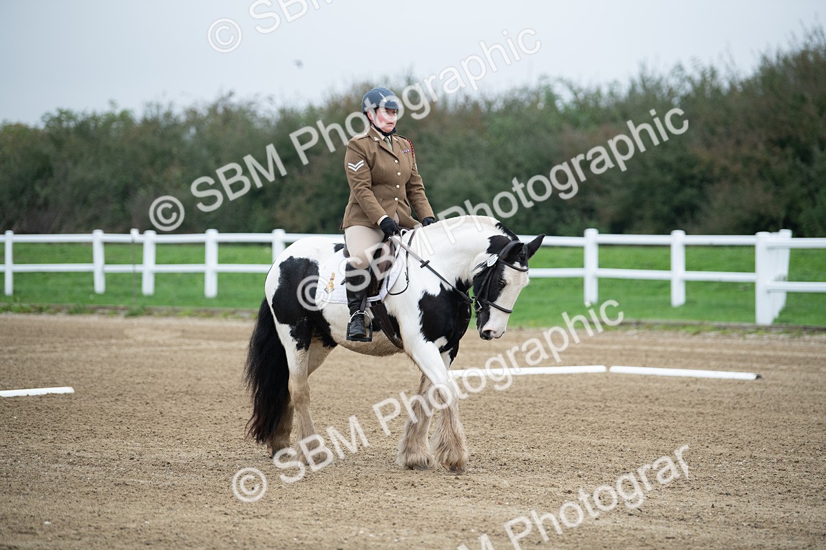 SBM_003440 - Introductory Test 3