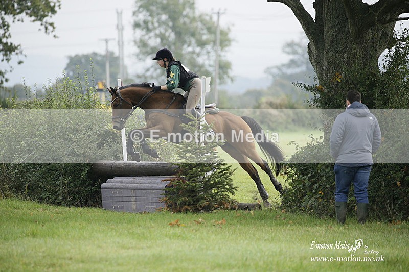 WWHT 171021 0750 - Open Novice (0.80m)  17/10/21