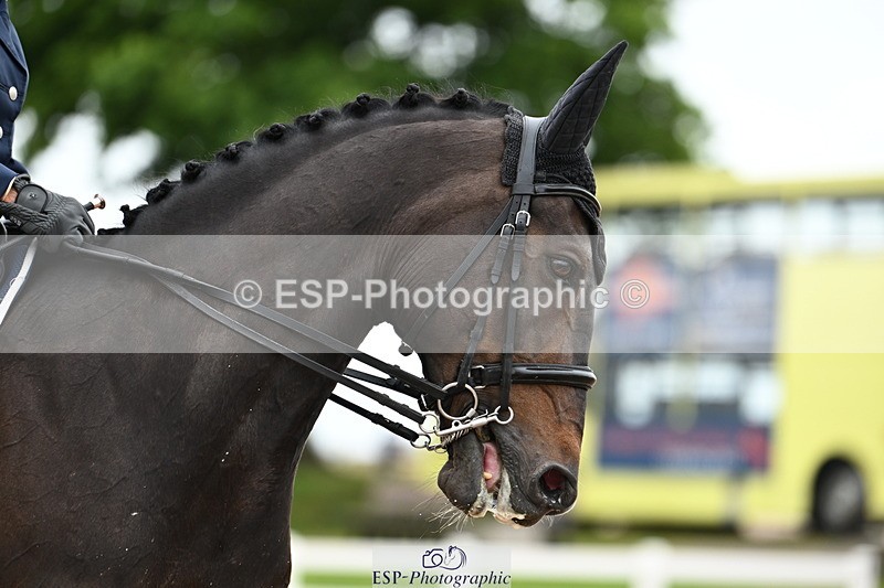 240623A-170521-20392 - Cls 61 BD FEI Inter I