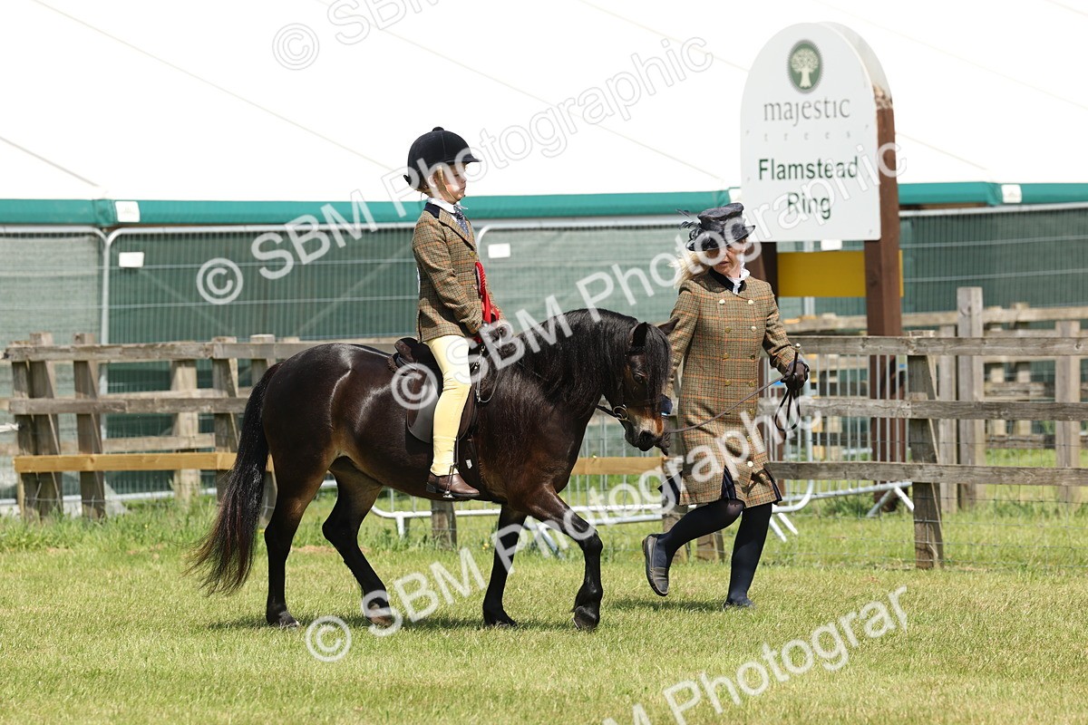 SBM_05410 - Class 24-25 - Mountain & Moorland In Hand Lead Rein and First Ridden