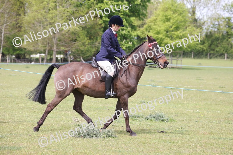 20260426-2989 - Class 33 - Best Pony 14.2hh and Under