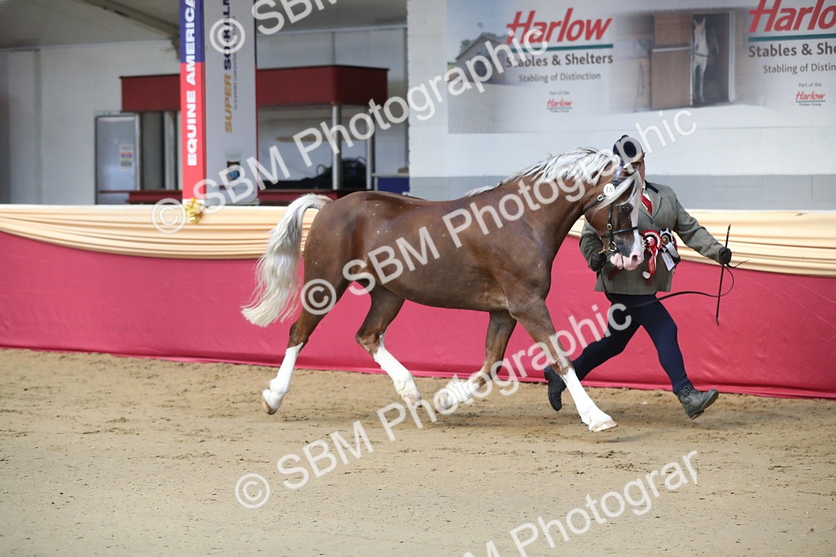 SBM_01404 - Class 3a Area IH Pre Vet