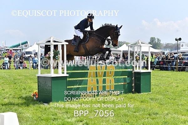 BPP_7056 - CLASS 3 RHS Fox Champ Qual (1.20m)