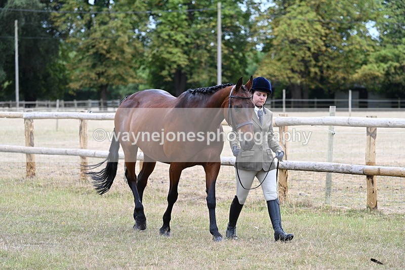 WJ7_8963 - Class 4a Prettiest Mare 14.2hh and over
