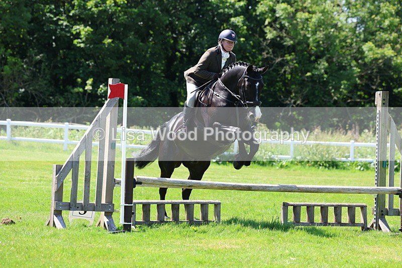 3E7A6995 - Class 30: Novice Working Hunter