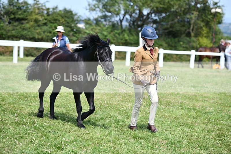 DSC_8198 - Class 67: Child Handler 11 - 16 years